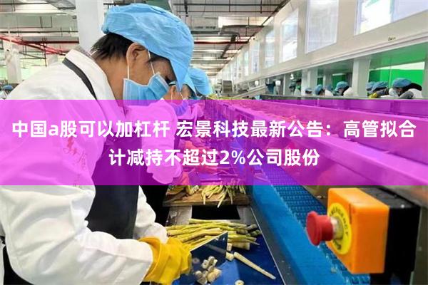 中国a股可以加杠杆 宏景科技最新公告：高管拟合计减持不超过2%公司股份