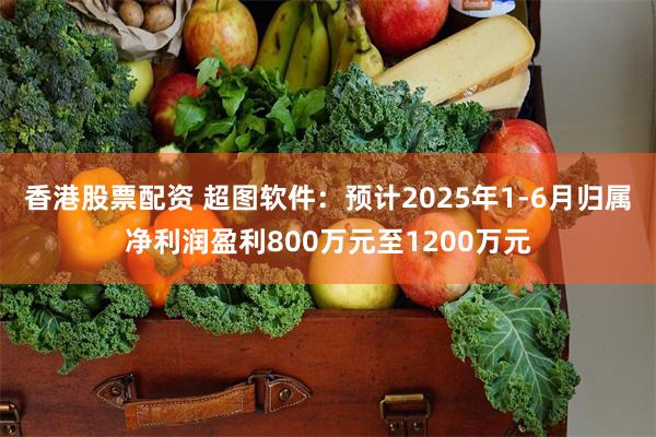 香港股票配资 超图软件：预计2025年1-6月归属净利润盈利800万元至1200万元