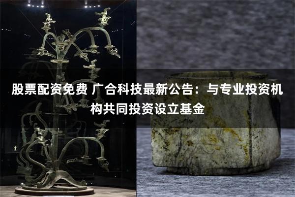 股票配资免费 广合科技最新公告：与专业投资机构共同投资设立基金