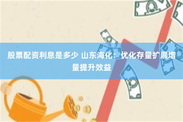 股票配资利息是多少 山东海化：优化存量扩展增量提升效益
