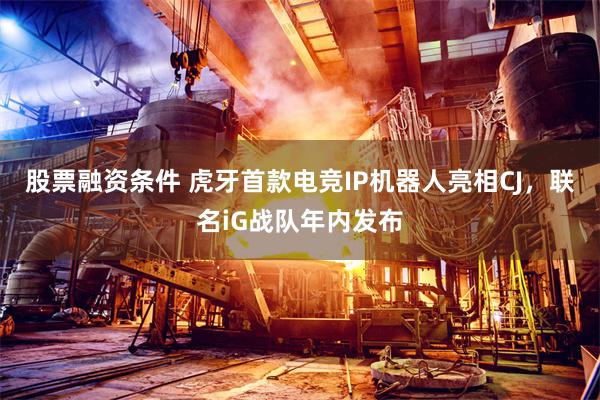 股票融资条件 虎牙首款电竞IP机器人亮相CJ，联名iG战队年内发布