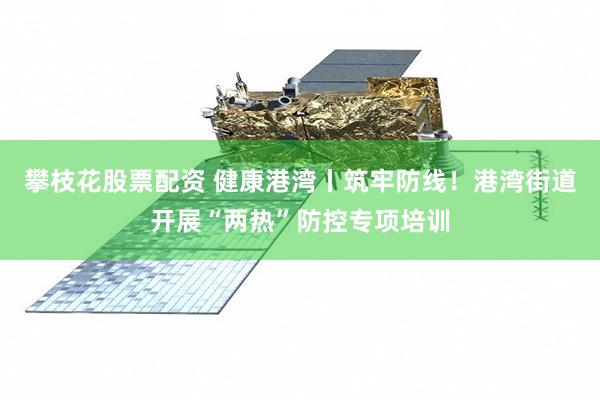 攀枝花股票配资 健康港湾丨筑牢防线！港湾街道开展“两热”防控专项培训
