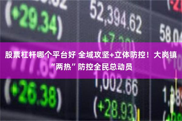 股票杠杆哪个平台好 全域攻坚+立体防控！大岗镇“两热”防控全民总动员