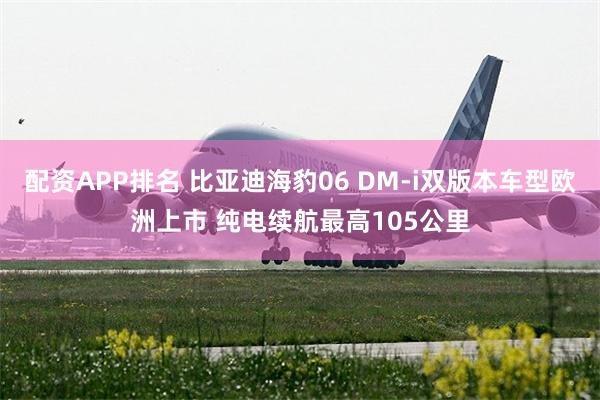 配资APP排名 比亚迪海豹06 DM-i双版本车型欧洲上市 纯电续航最高105公里