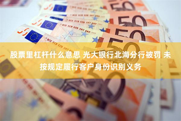 股票里杠杆什么意思 光大银行北海分行被罚 未按规定履行客户身份识别义务