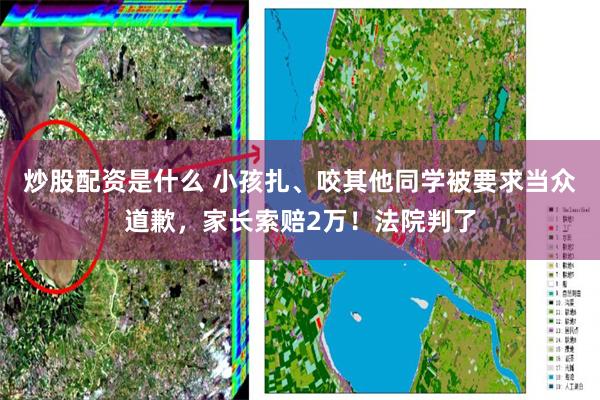炒股配资是什么 小孩扎、咬其他同学被要求当众道歉，家长索赔2万！法院判了