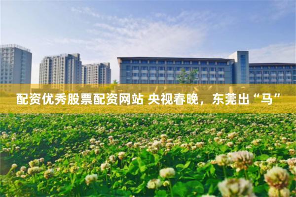 配资优秀股票配资网站 央视春晚，东莞出“马”