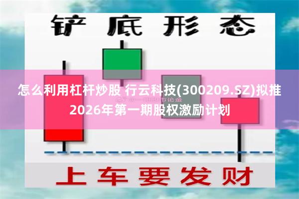 怎么利用杠杆炒股 行云科技(300209.SZ)拟推2026年第一期股权激励计划