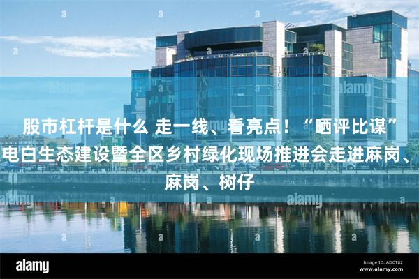 股市杠杆是什么 走一线、看亮点！“晒评比谋”绿美电白生态建设暨全区乡村绿化现场推进会走进麻岗、树仔